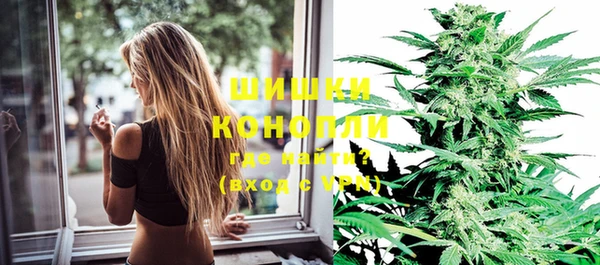 стаф Кулебаки