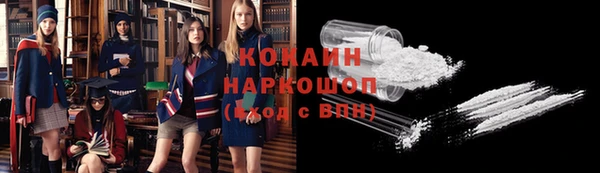 стаф Кулебаки