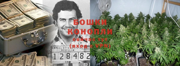крисы Лагань