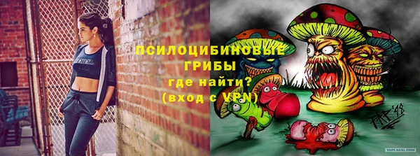 СК Кукмор