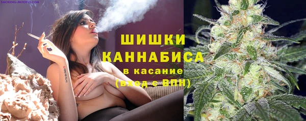 стаф Кулебаки