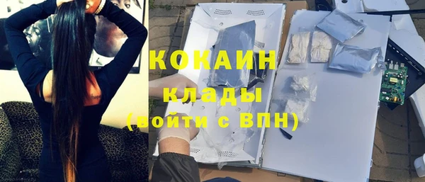 стаф Кулебаки