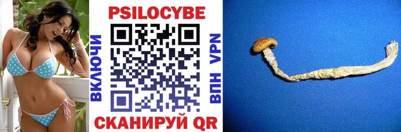 MEGA ТОР  Красноперекопск  Галлюциногенные грибы Psilocybine cubensis  купить  сайты 